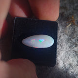 australian opal