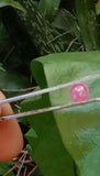 5mm ﻿Afghan Ruby cabachon 