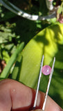 5mm ﻿Afghan Ruby cabachon 